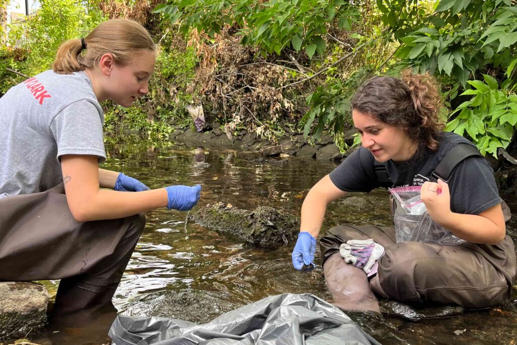 Students working to clean up Beaver Brook