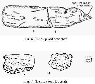 Elephant and Piltdown fossils
