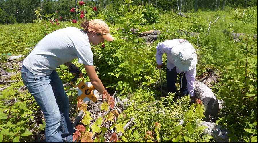 environmental students in field