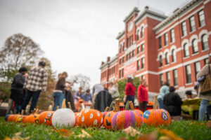 pumpkins on lawn