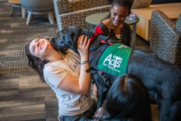 students spend some face time with a therapy dog