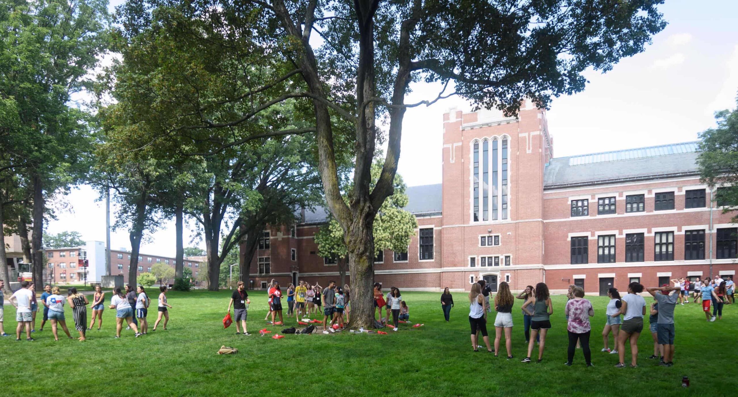 students gather on the green