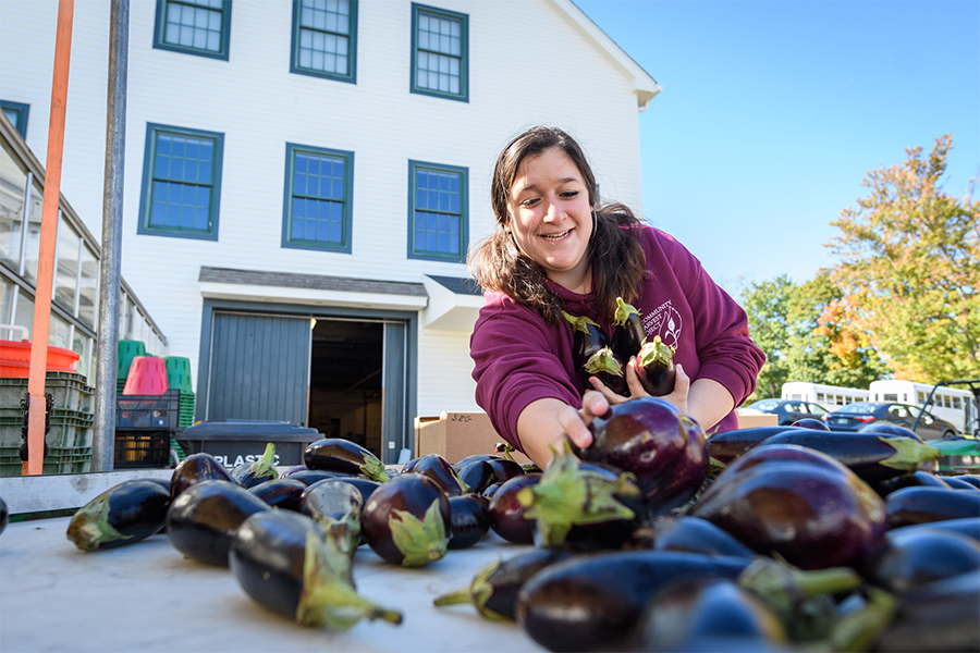 Woman shopping at farmer's market