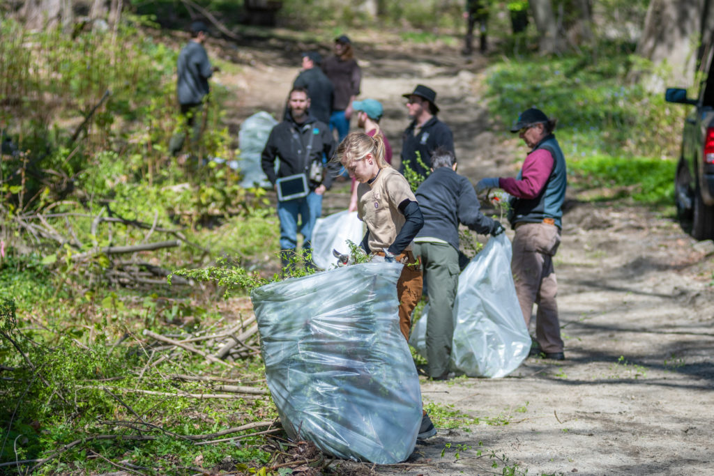 community leaders cleaning up woods