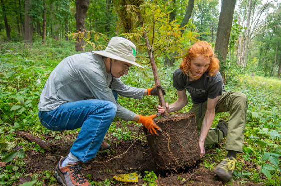 clark students planting tree